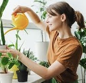 EVDE BİTKİ YETİŞTİRMENİN RUH SAĞLIĞINA ETKİSİ