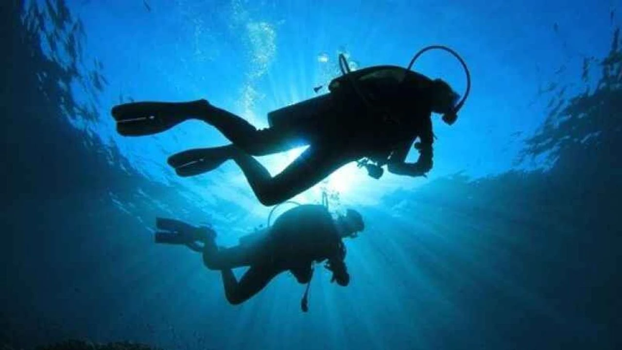 Rüyada Denize Dalmak Görmek