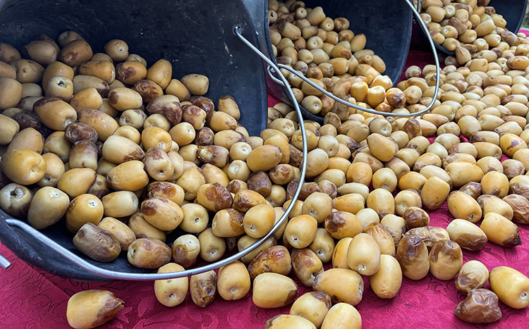 Rüyada Hurma Olgunlaşmamış Görmek