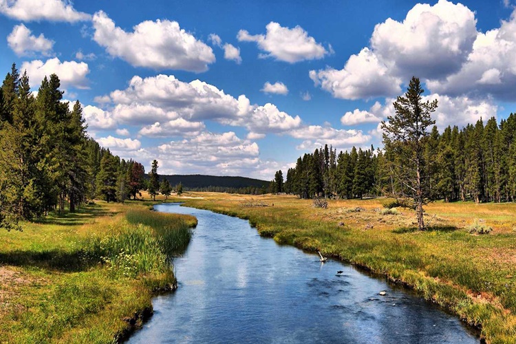 Rüyada Güvercin Görmek