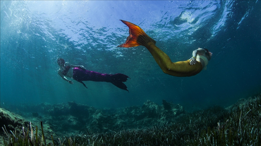 Rüyada Denizkızı Görmek