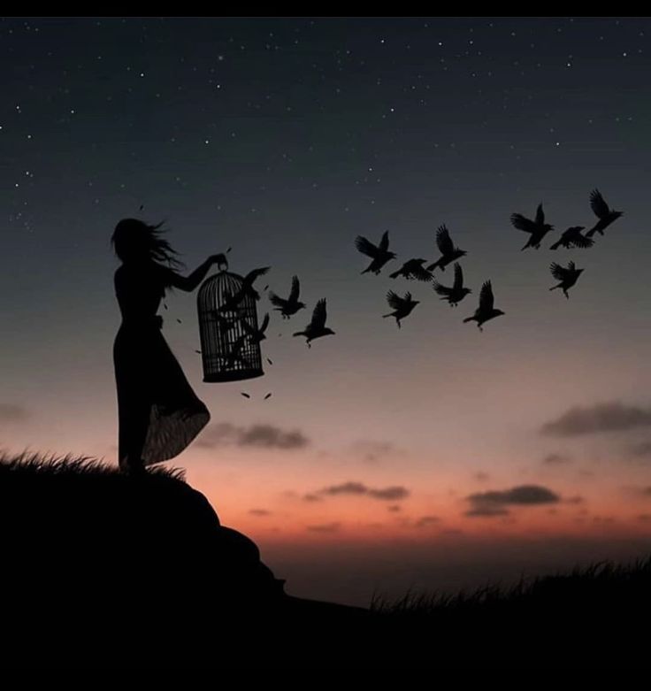 ÖZGÜRLÜK SINIRIMIZ