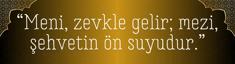 Rüyada Meni ve Mezi Görmek 