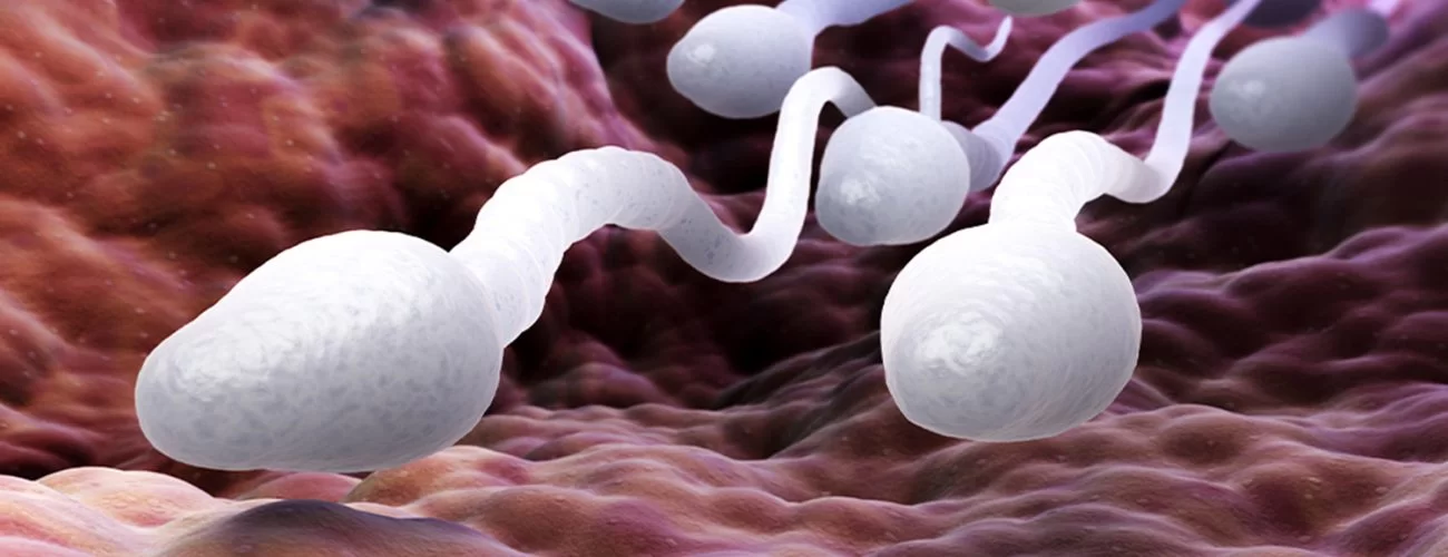 Rüyada Meni Görmek 