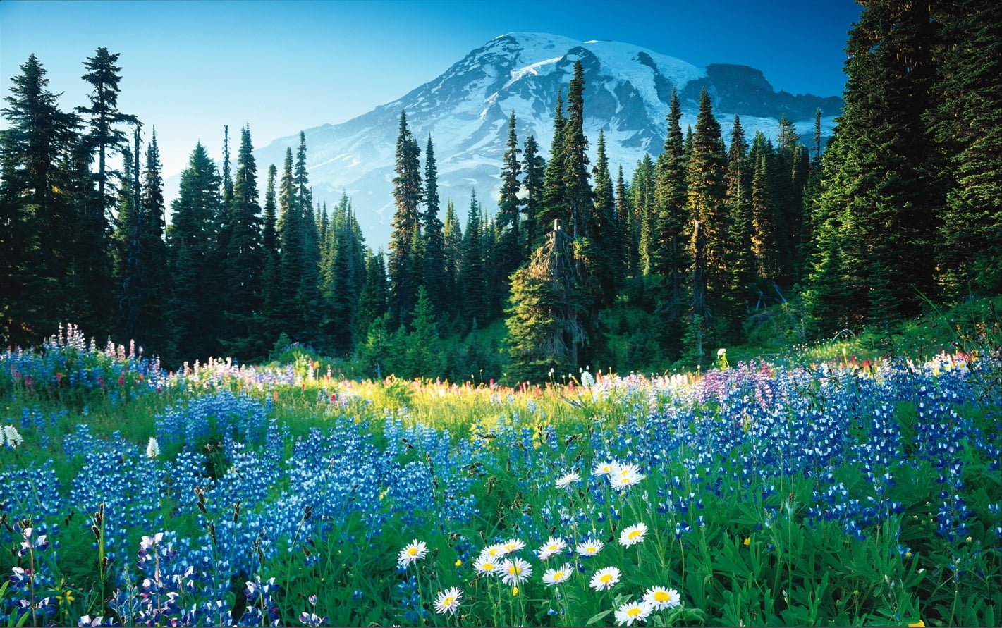 Rüyada Vakıf Görmek