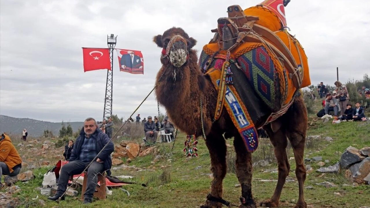 Rüyada Deveci Görmek