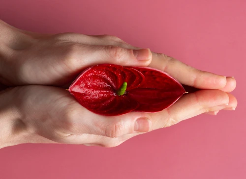 Rüyada Kadınlık Organı Görmek