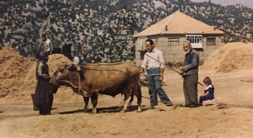 Rüyada Harman ve Harman Yeri Görmek