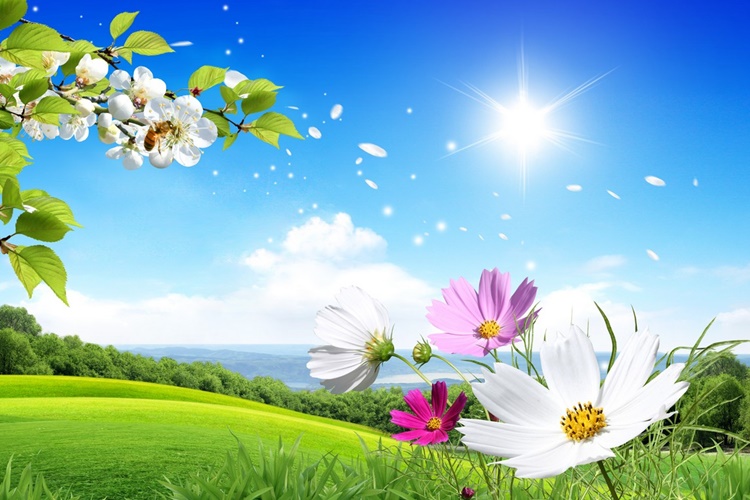 Rüyada Binicilik Görmek